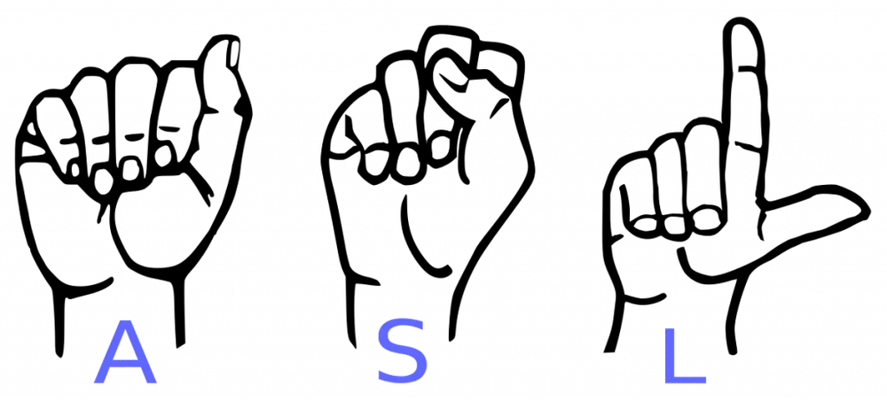 American Sign Language Detection